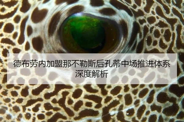 德布劳内加盟那不勒斯后孔蒂中场推进体系深度解析